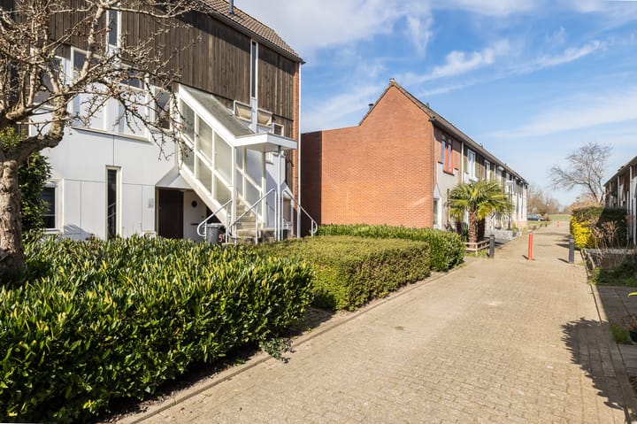 Foto 4 van Kanariesprenk 49