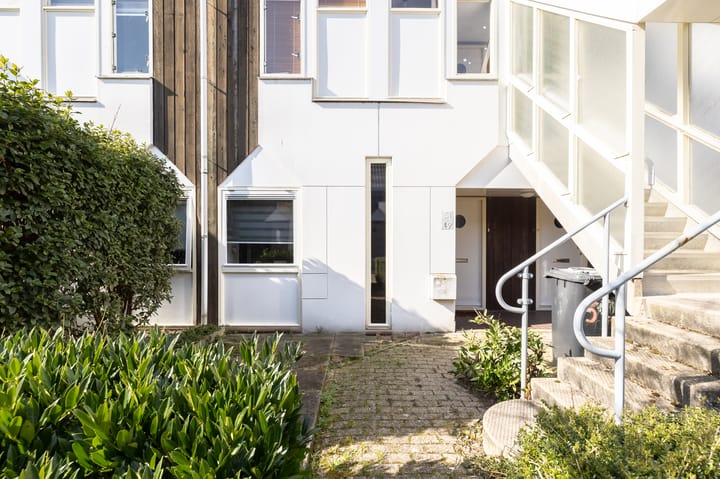 Foto 5 van Kanariesprenk 49