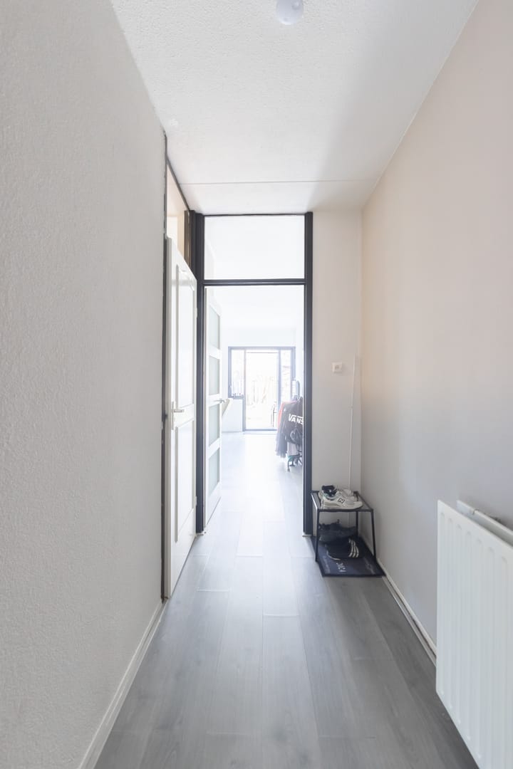 Foto 8 van Kanariesprenk 49