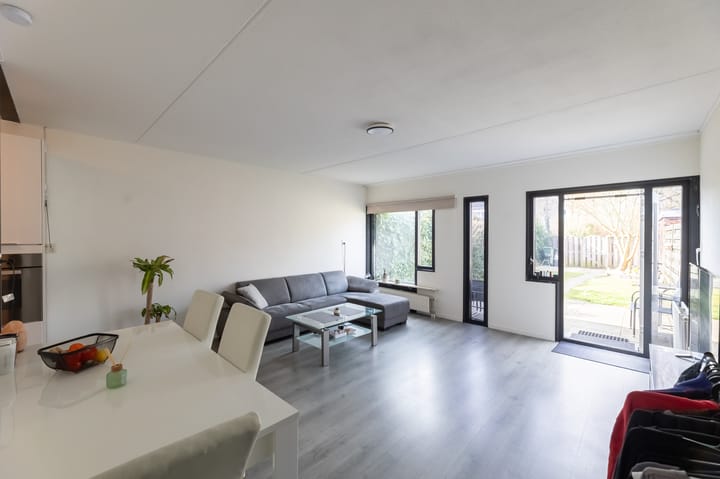 Foto 9 van Kanariesprenk 49