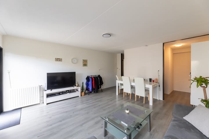 Foto 10 van Kanariesprenk 49