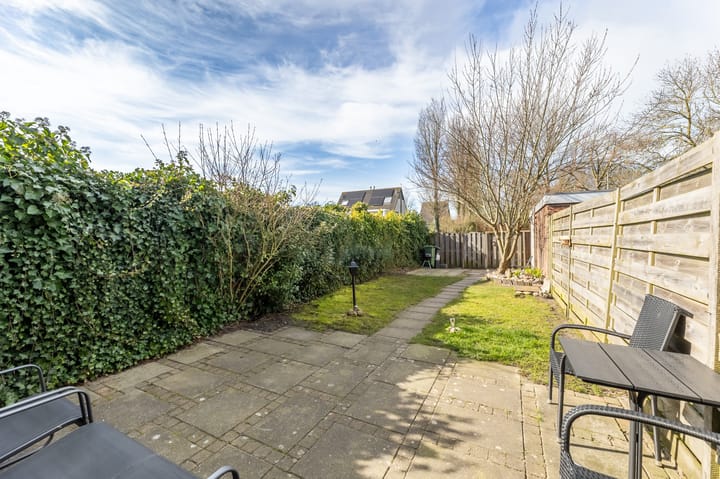 Foto 17 van Kanariesprenk 49