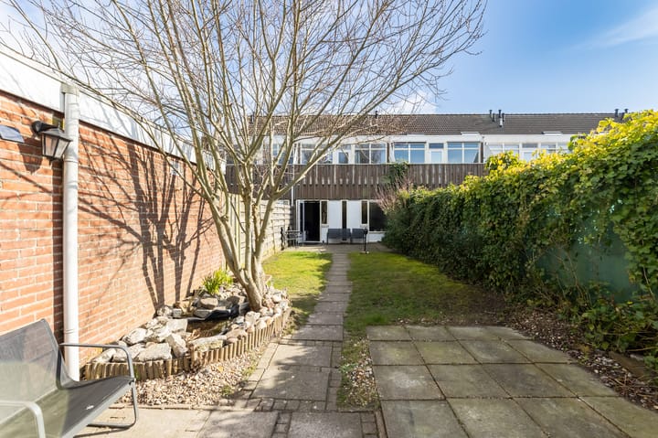 Foto 19 van Kanariesprenk 49