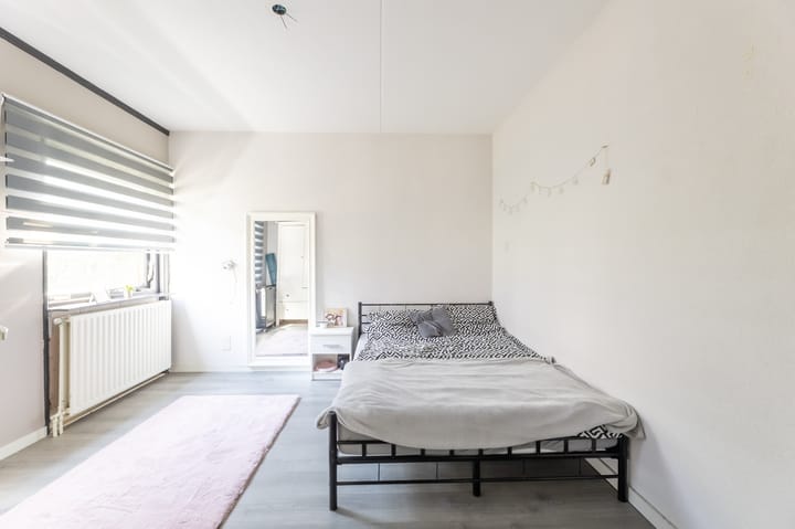 Foto 20 van Kanariesprenk 49