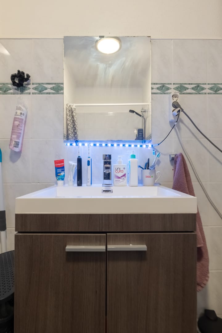 Foto 22 van Kanariesprenk 49