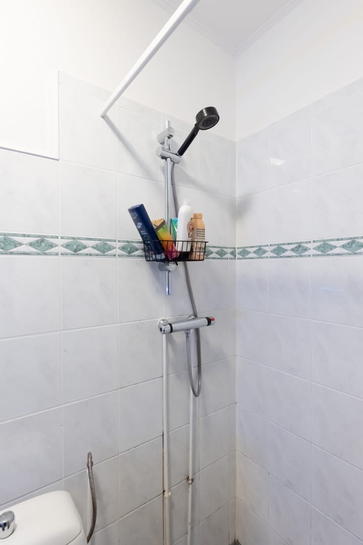 Foto 24 van Kanariesprenk 49