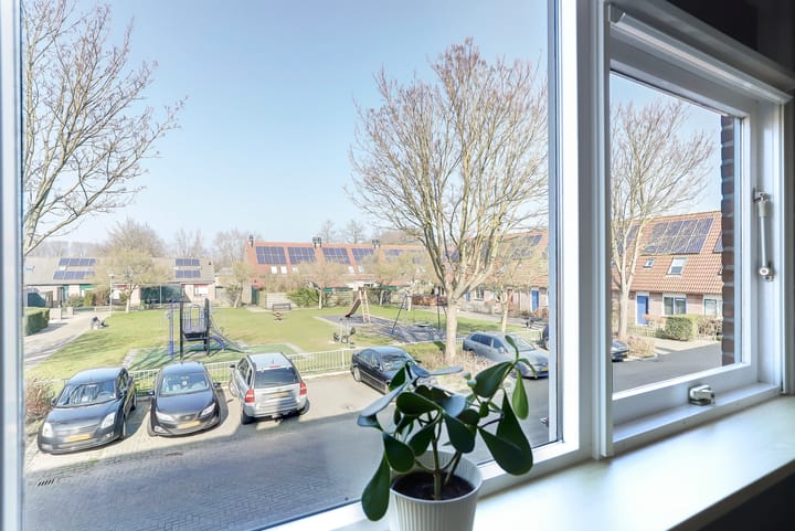 Foto 12 van Buttervin 65