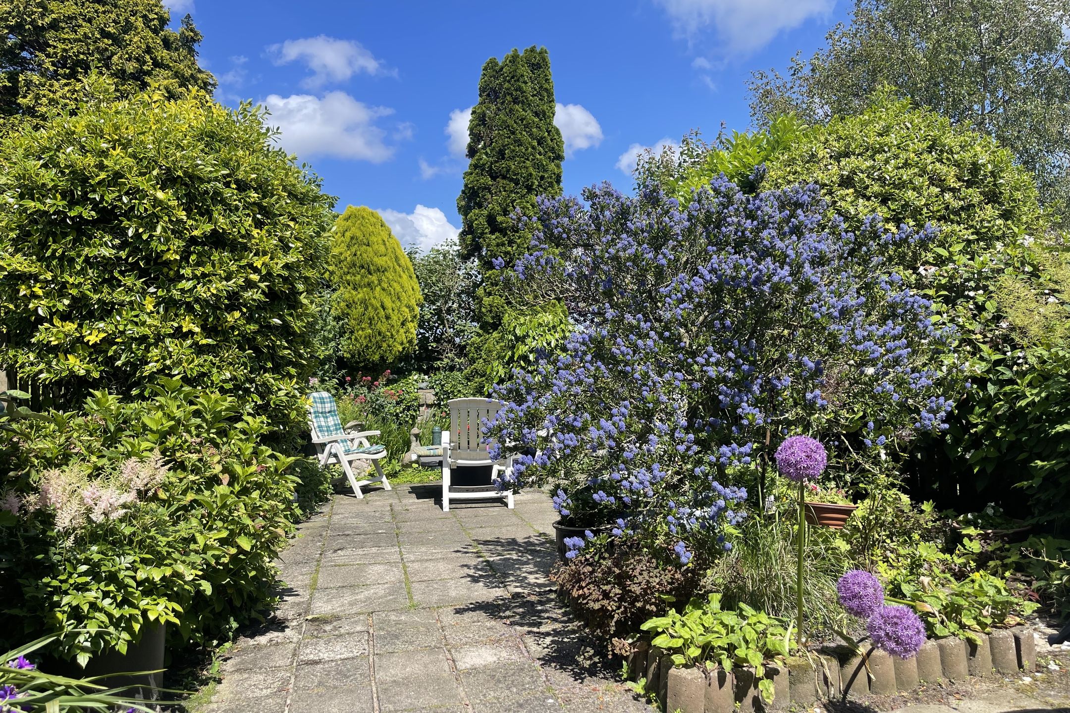 Foto 66 van Teylingerlaan 48