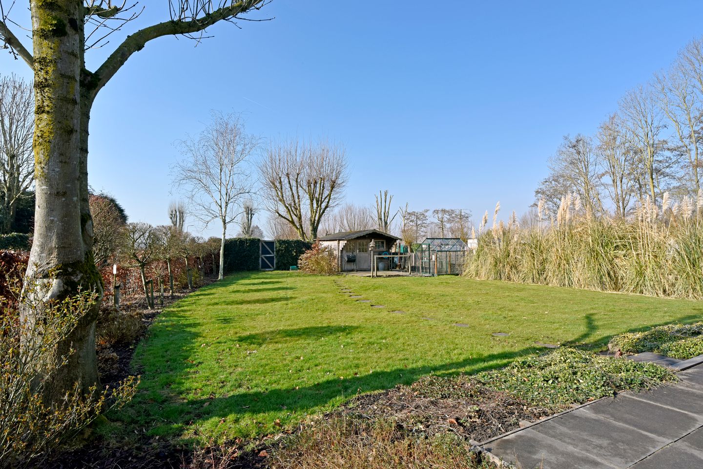 Foto 34 van Park Zomerlust 15