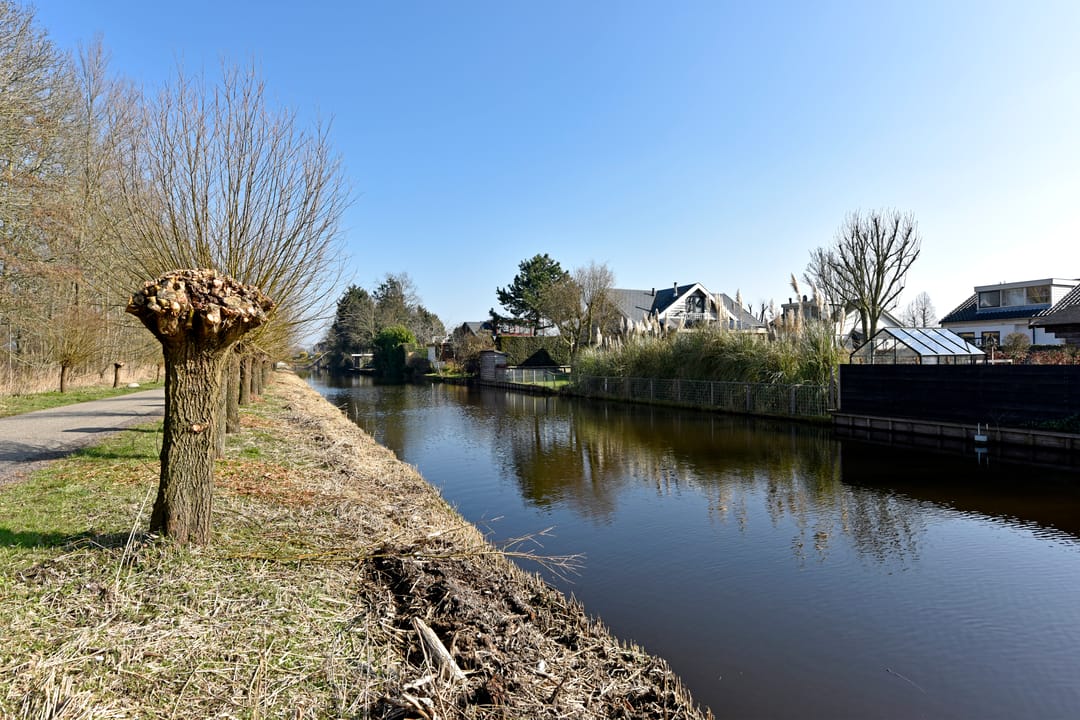 Foto 41 van Park Zomerlust 15