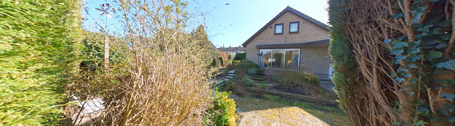 Achtertuin