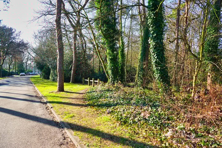 Foto 54 van Prinses Beatrixlaan 10