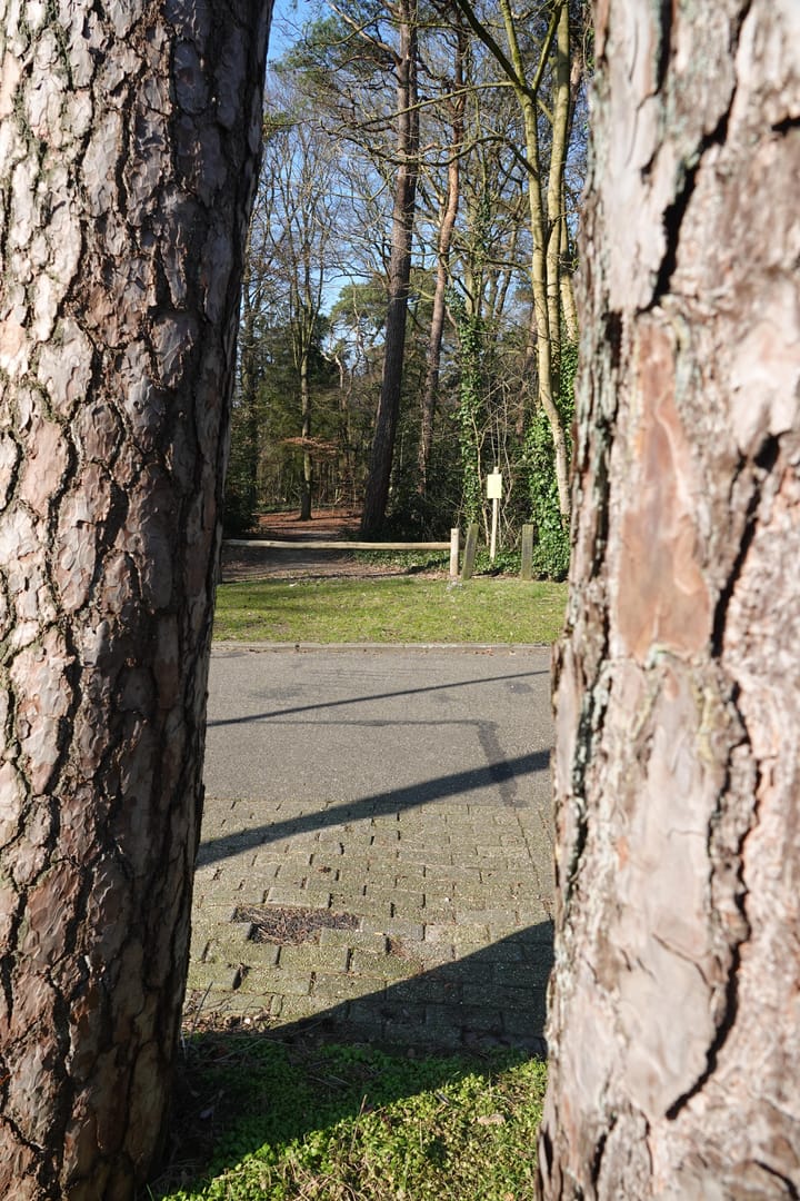 Foto 55 van Prinses Beatrixlaan 10