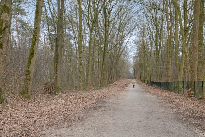 Foto 44 van Beatrixlaan 29