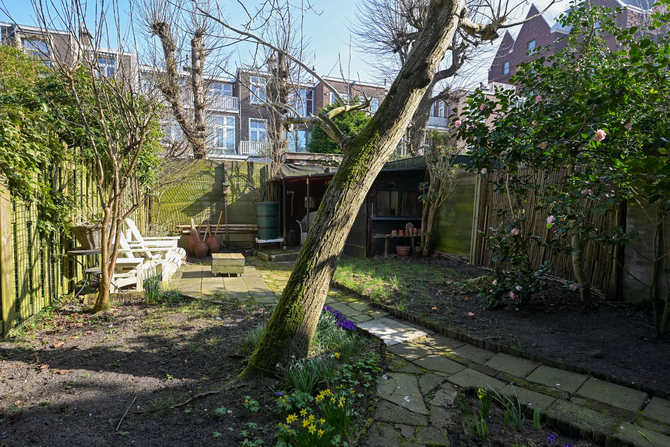 Foto 27 van Mesdagstraat 9