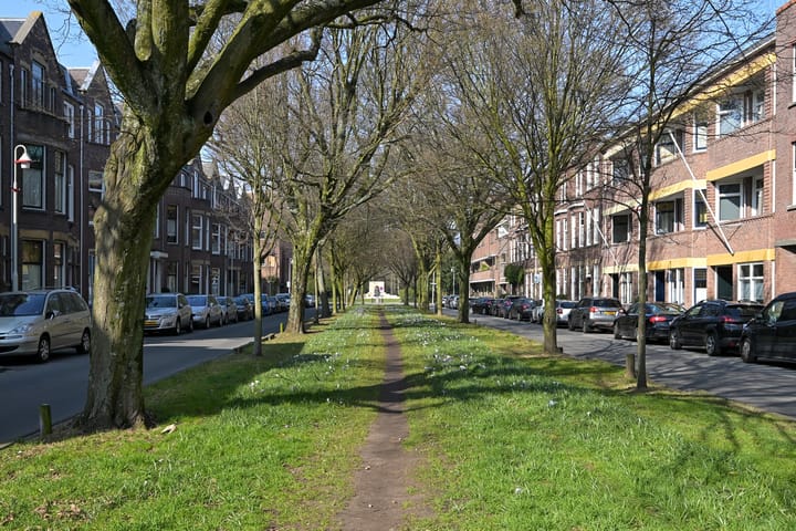 Foto 55 van Mesdagstraat 9