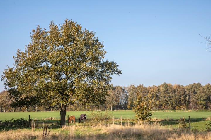 Foto 36 van de Veldakkers 9