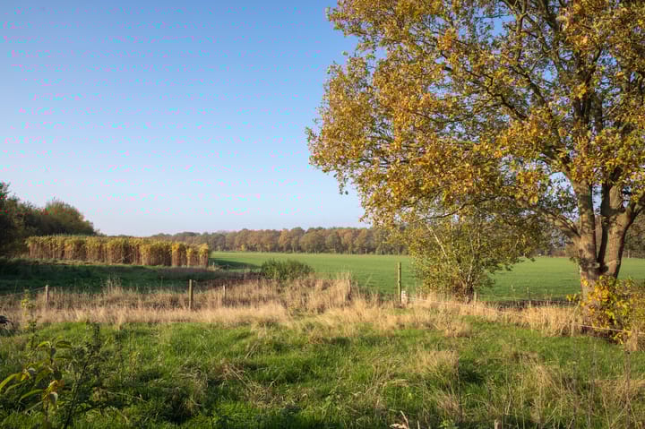 Foto 37 van de Veldakkers 9