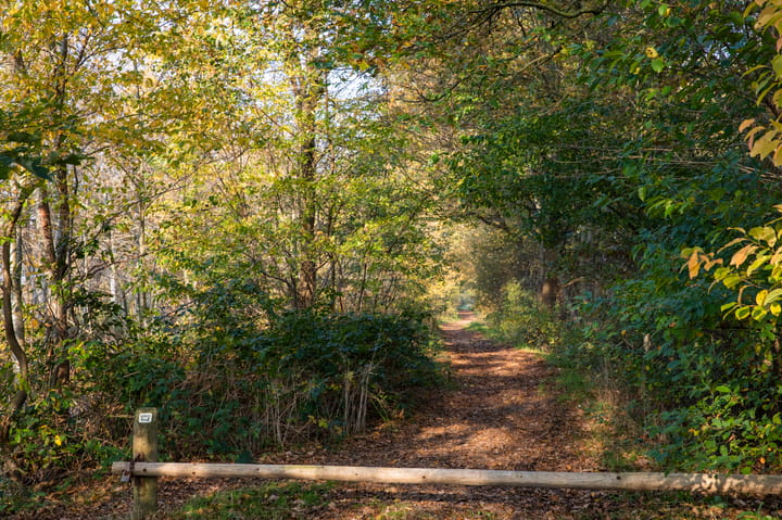 Foto 39 van de Veldakkers 9