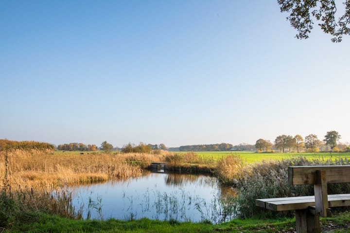 Foto 40 van de Veldakkers 9