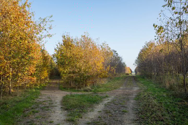 Foto 41 van de Veldakkers 9