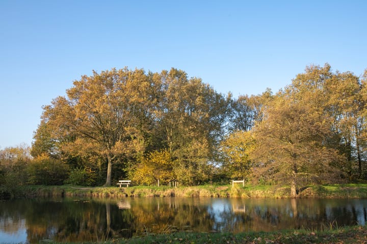 Foto 42 van de Veldakkers 9