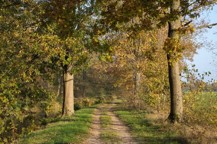 Foto 43 van de Veldakkers 9