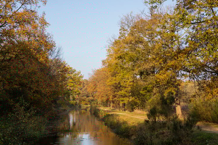 Foto 44 van de Veldakkers 9