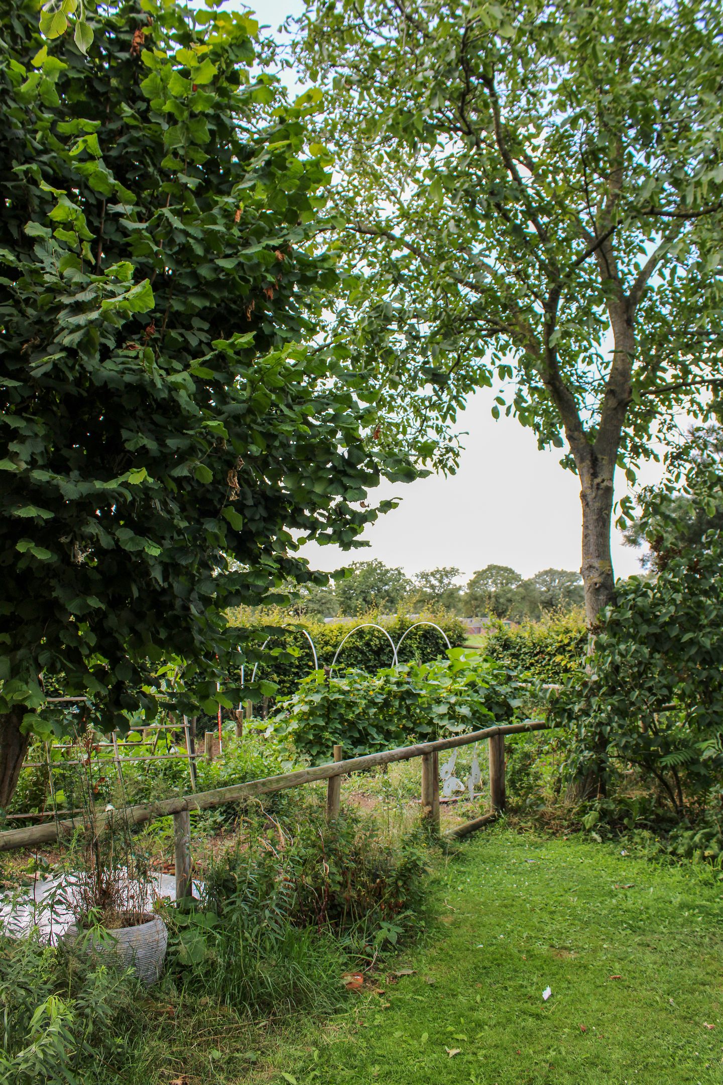 Foto 34 van Swelstraat 10