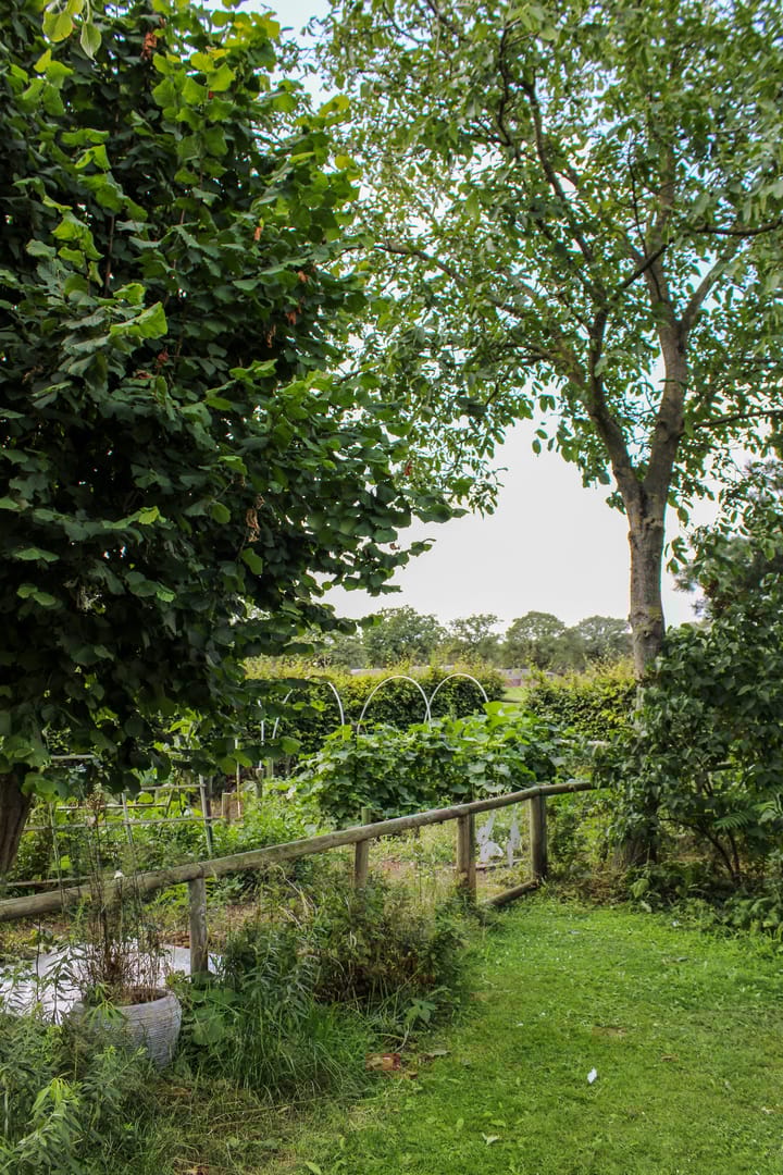 Foto 34 van Swelstraat 10