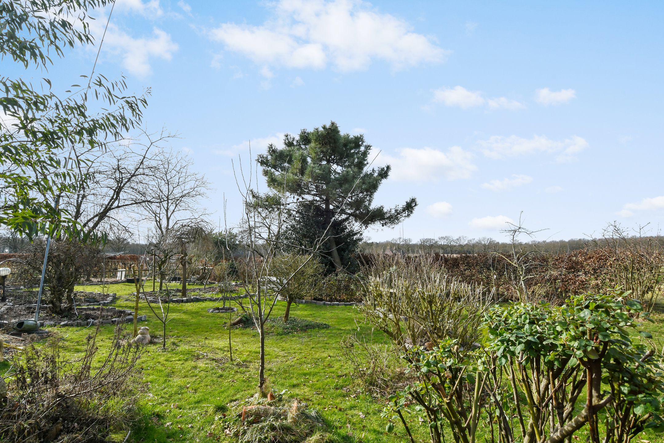 Foto 39 van Swelstraat 10