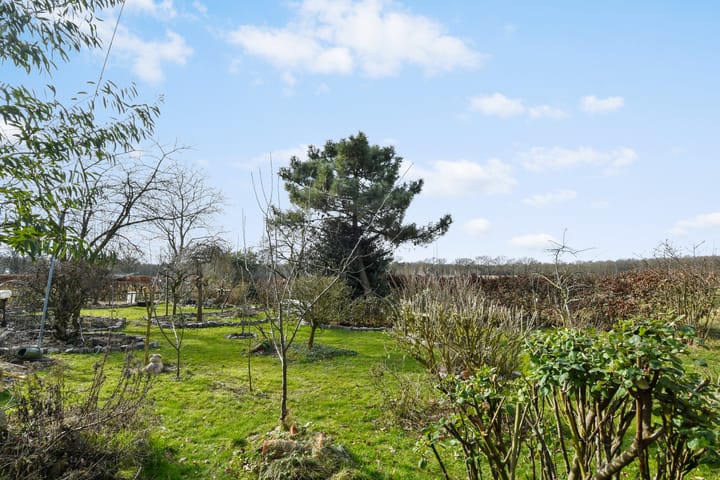 Foto 39 van Swelstraat 10