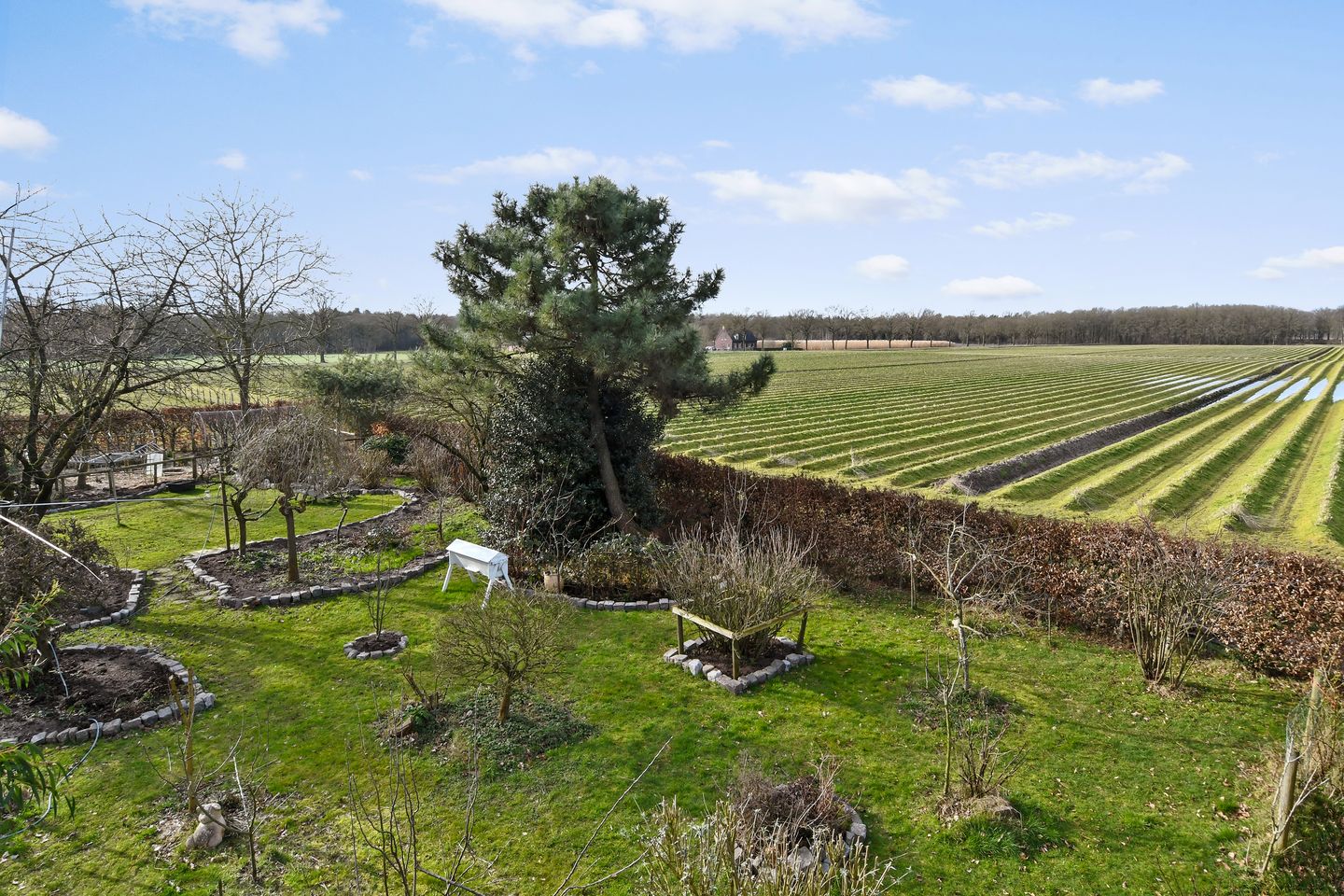 Foto 40 van Swelstraat 10