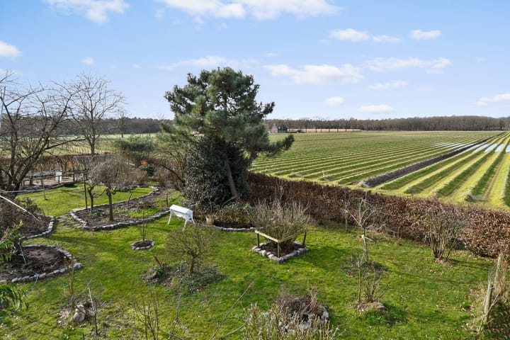 Foto 40 van Swelstraat 10