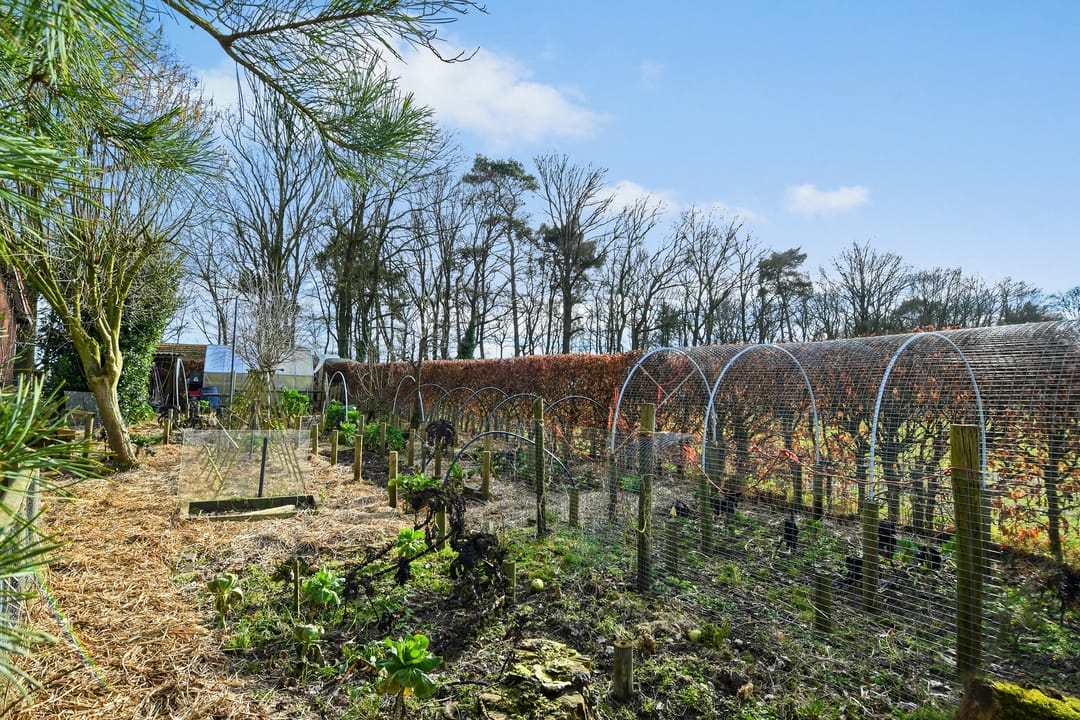 Foto 41 van Swelstraat 10