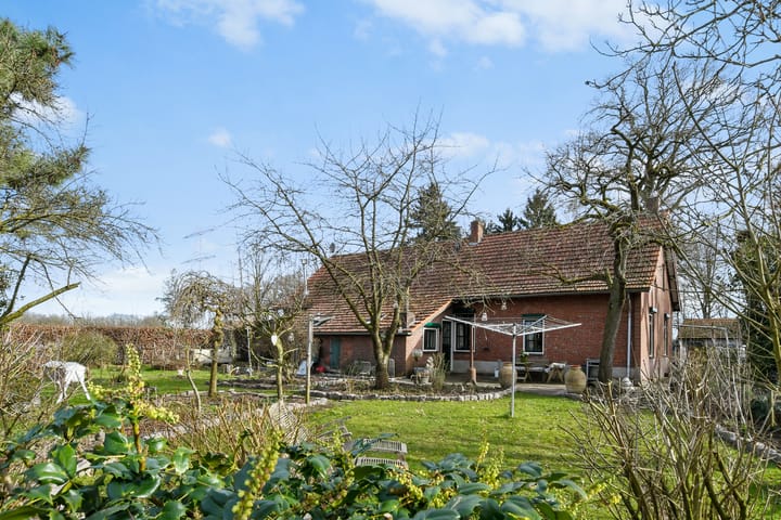 Foto 42 van Swelstraat 10