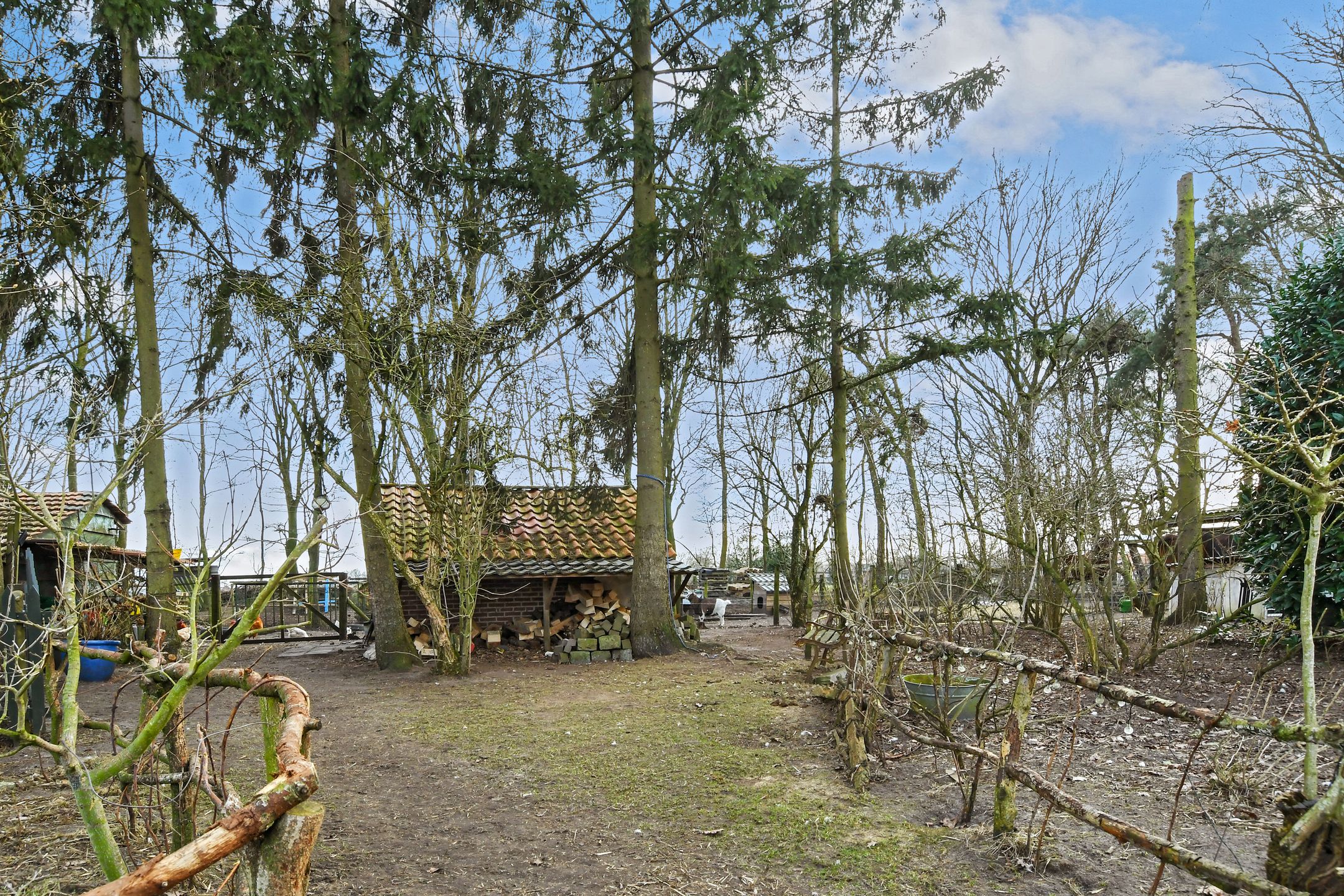 Foto 48 van Swelstraat 10