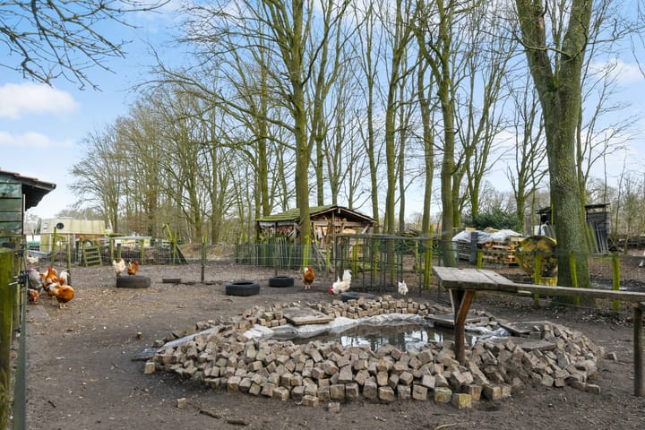 Foto 50 van Swelstraat 10