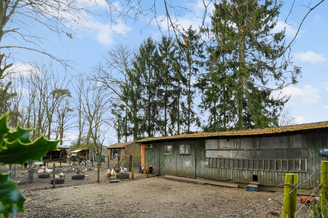 Foto 53 van Swelstraat 10