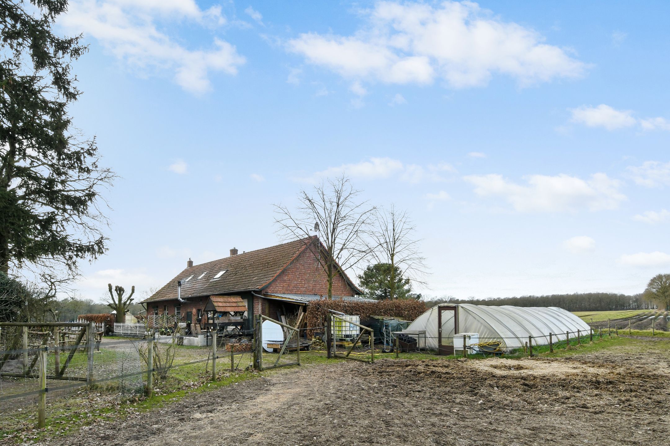 Foto 57 van Swelstraat 10