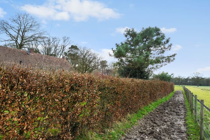 Foto 61 van Swelstraat 10