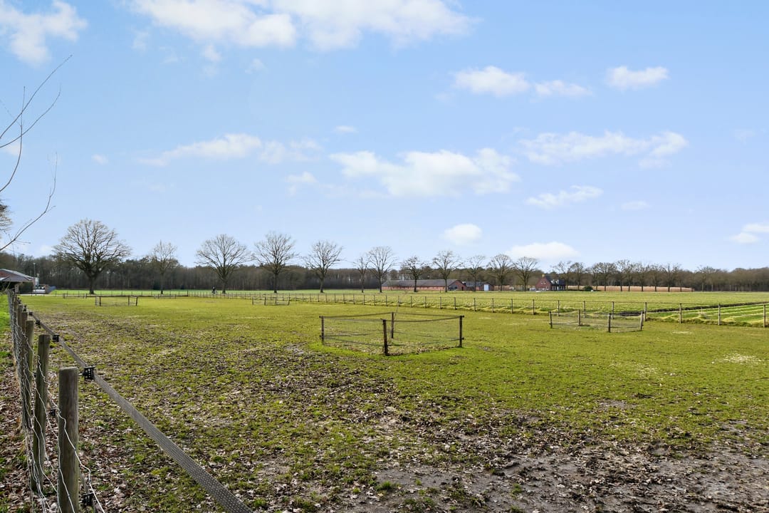 Foto 62 van Swelstraat 10