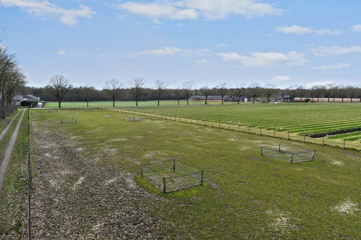 Foto 64 van Swelstraat 10