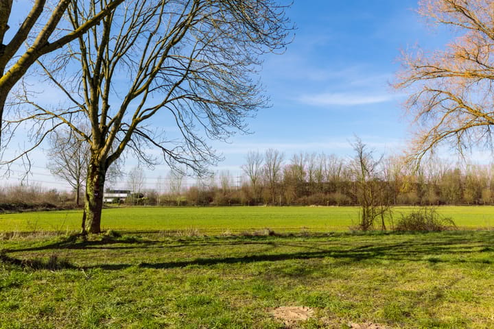 Foto 51 van Dilleveld 75