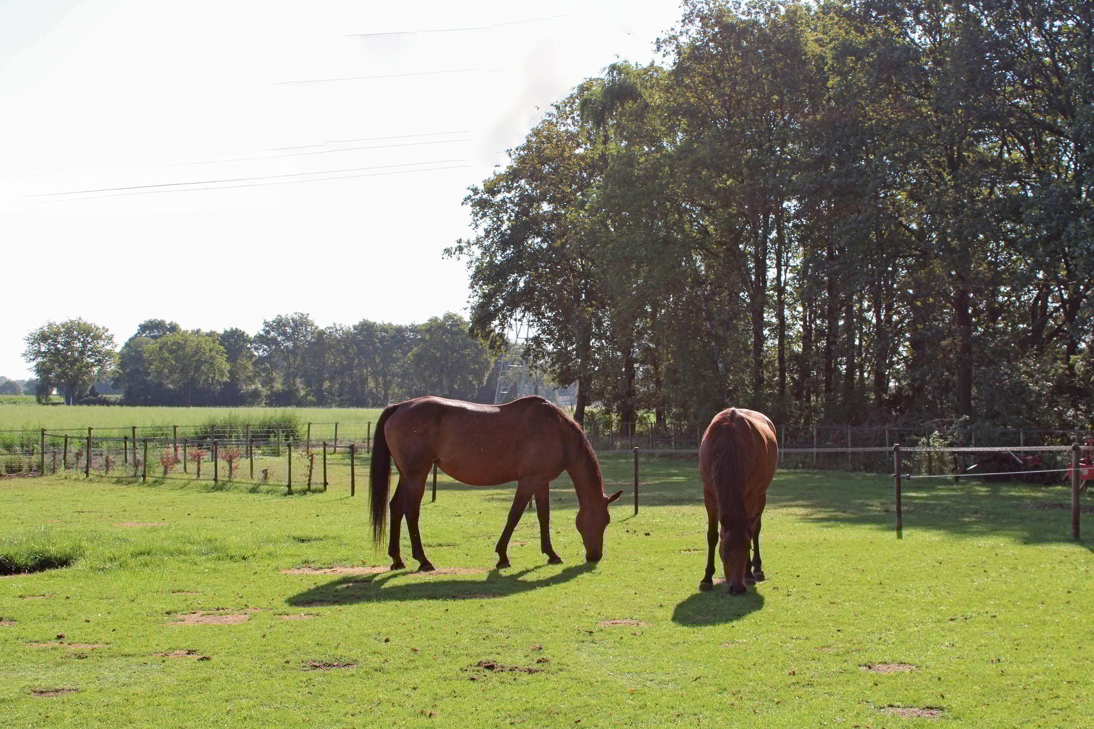 Foto 66 van Swelstraat 10