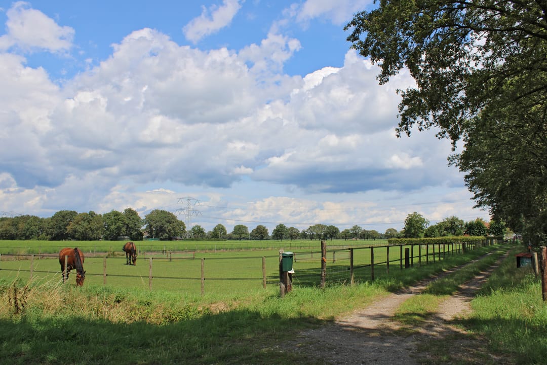 Foto 67 van Swelstraat 10