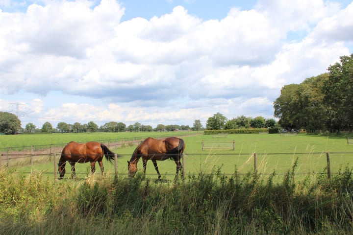 Foto 68 van Swelstraat 10