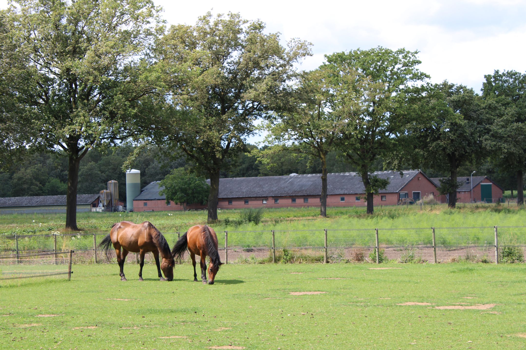 Foto 69 van Swelstraat 10