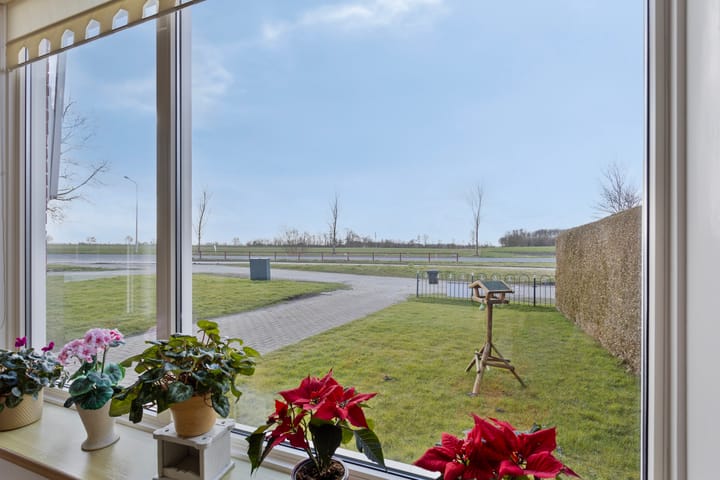 Foto 7 van Brânbuorren 6