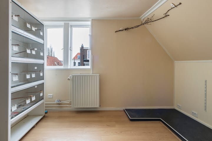 Foto 23 van Voorstraat 405